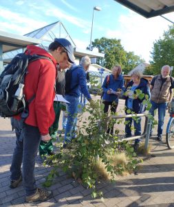 20250913 Kartierung Preetz (2)