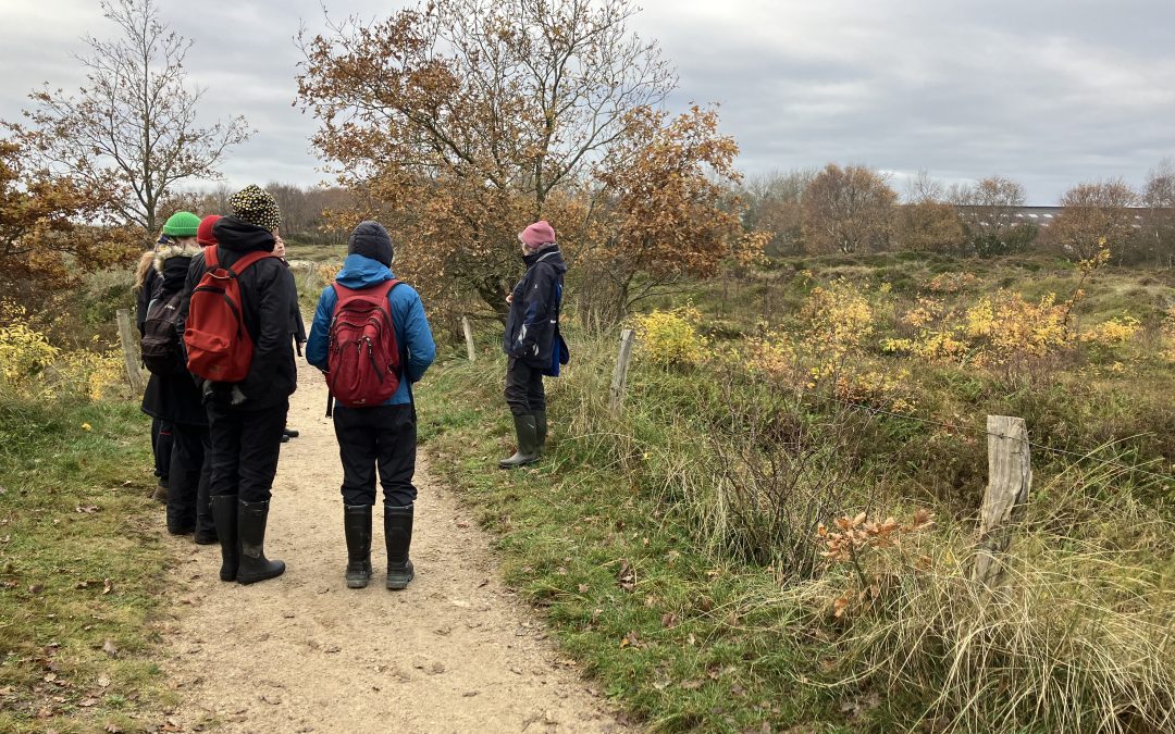 Workshop Moosbestimmung in Dünen und auf Deichen