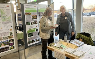 Workshop Moosbestimmung in Dünen und auf Deichen