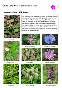 Botanische Schätze Rote Liste Arten RL V