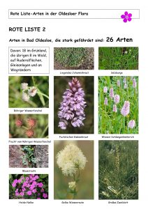 Rote Liste 2