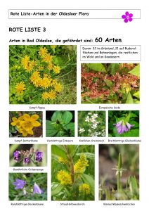 Botanische Schätze Rote Liste Arten RL3
