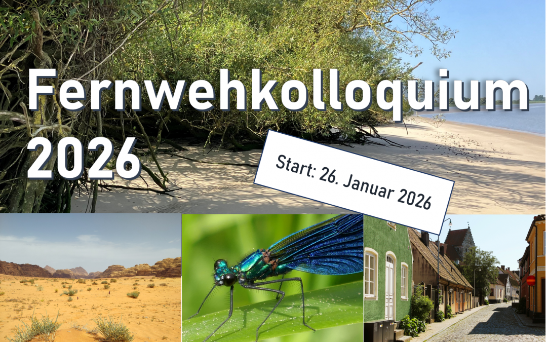 Programm Fernwehkolloquium 2026