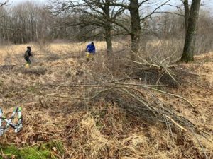 20260116 2 Entkusseln Hechtmoor