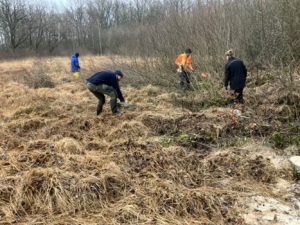 20260116 Entkusseln Hechtmoor