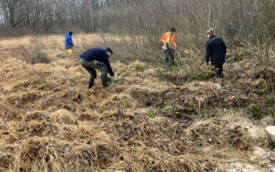 Entkusseln im Hechtmoor 16. – 18. Januar 2026