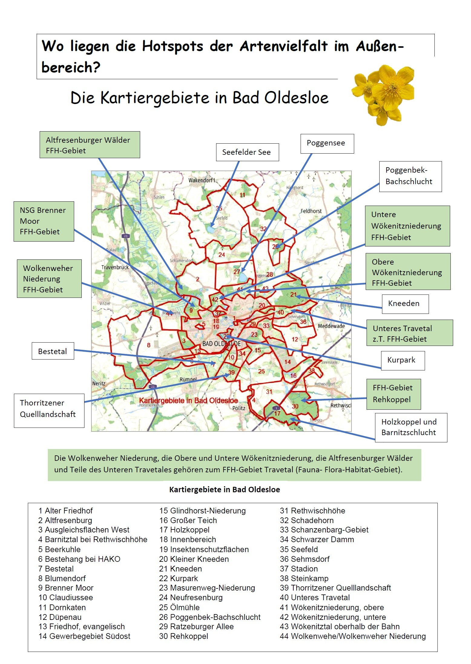 Häufige gefundene Arten