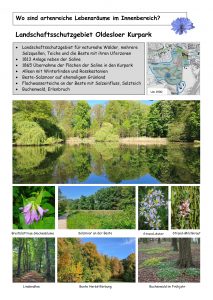 3 Artenvielfalt Innenbereich