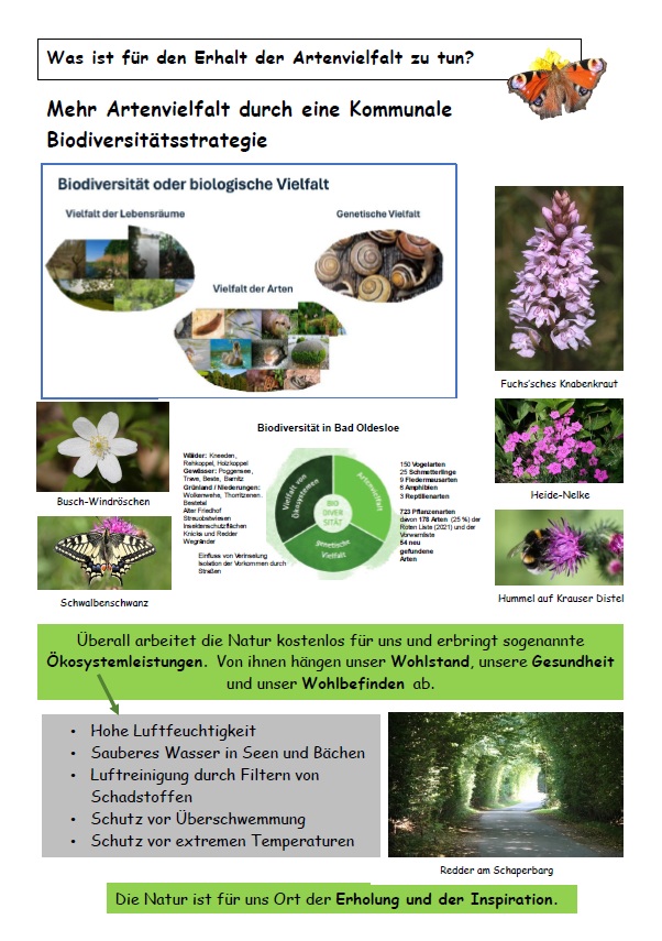 Häufige gefundene Arten