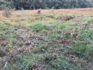 Wenige Tage zuvor begann die Entkusselung von Torfstichen für diese Wintersaison