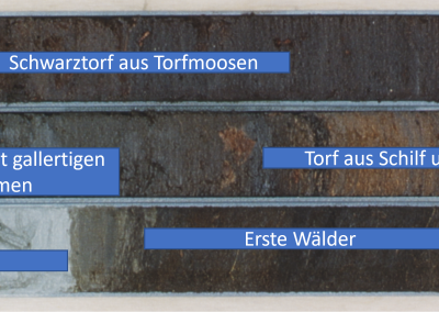 Blick auf 13.000 Jahre Klimawandel